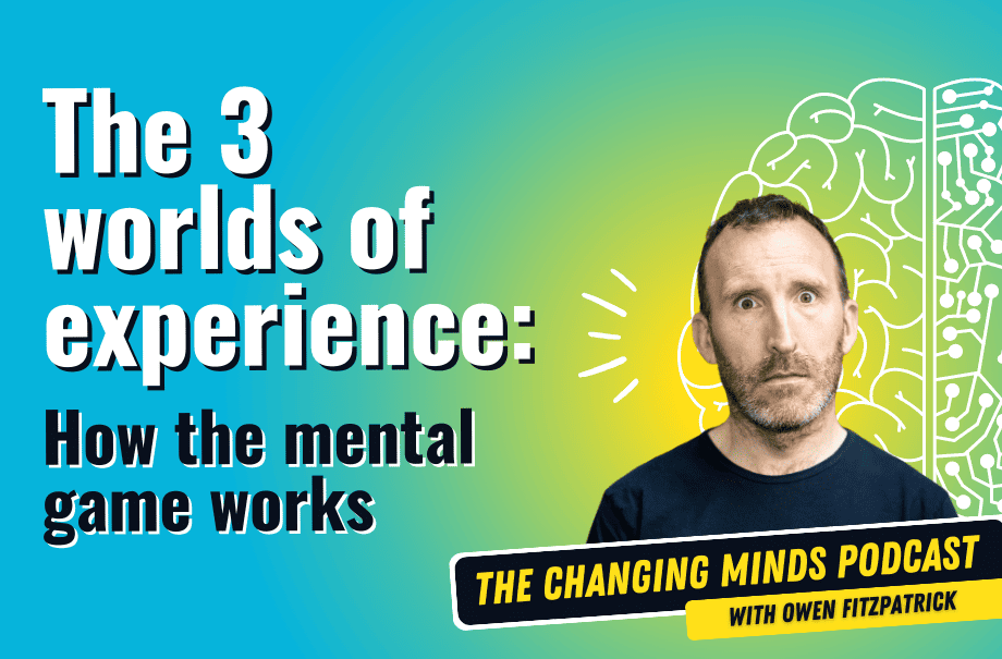 The 3 worlds of experience: How the mental game works